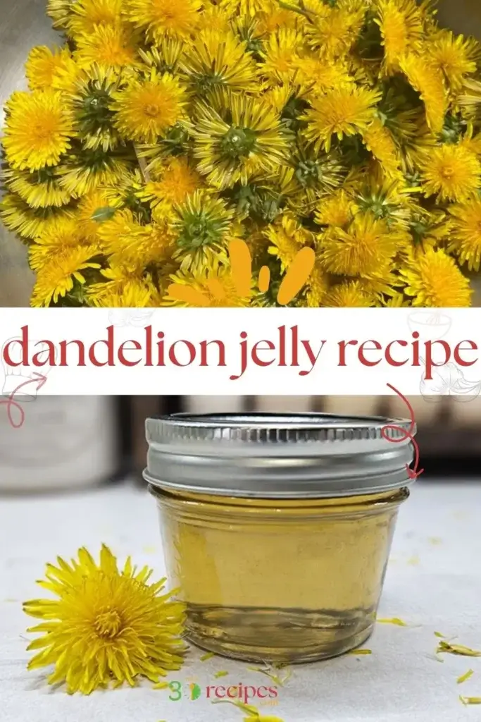 dandelion jelly recipe2